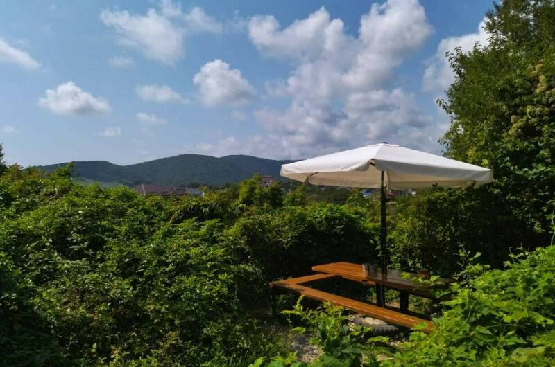 Изображение Изображение гостиницы &quot;Гостевой дом «Баунти»&quot; #10 #8