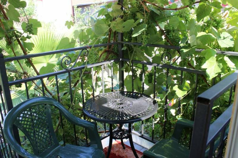 Изображение Изображение гостиницы &quot;Гостевой дом «Колибри»&quot; #8 #6