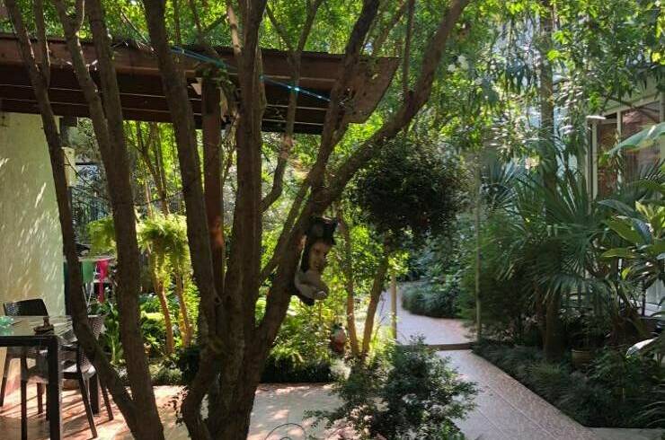 Изображение Изображение гостиницы &quot;Гостевой дом «Колибри»&quot; #9 #7