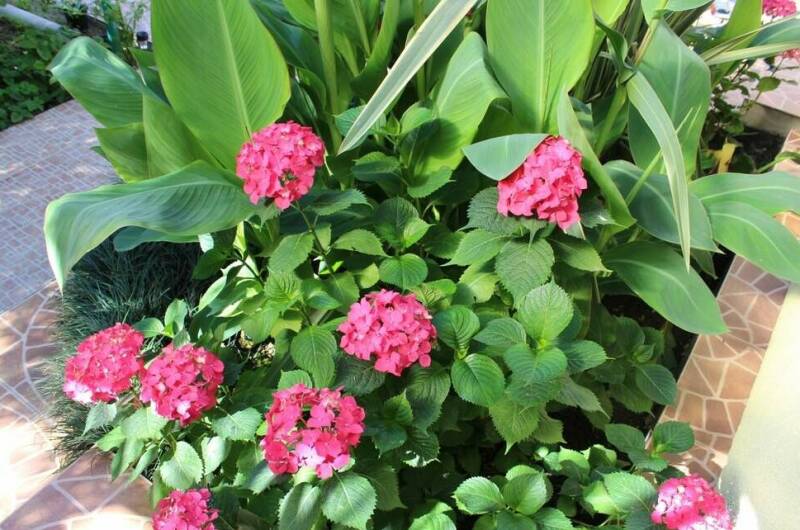 Изображение Изображение гостиницы &quot;Гостевой дом «Колибри»&quot; #11 #9