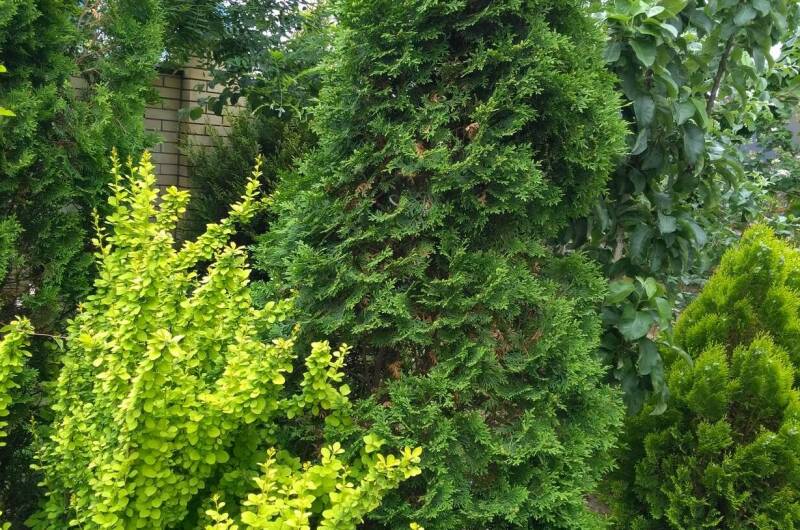 Изображение Изображение гостиницы &quot;Гостевой дом «Рай»&quot; #6 #4