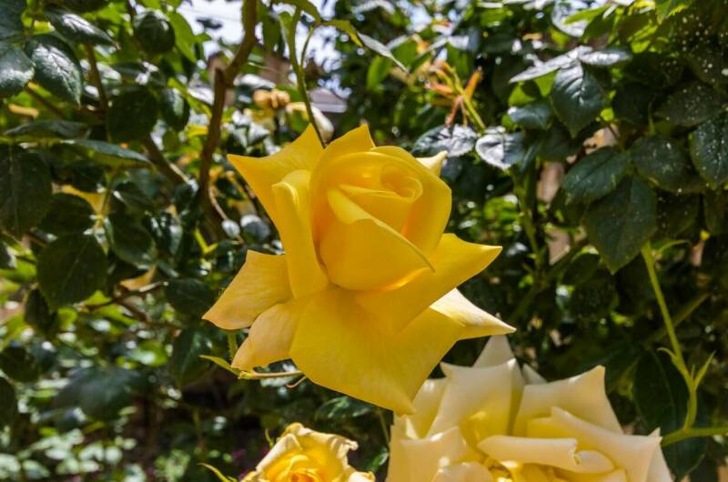 Изображение Изображение гостиницы &quot;Гостевой дом «Голубая бухта»&quot; #9 #7