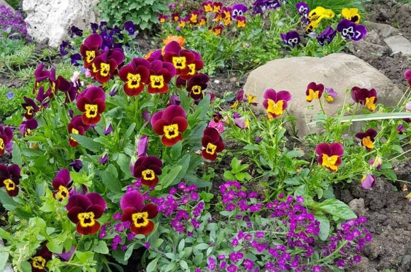 Изображение Изображение гостиницы &quot;Гостевой дом «У Евы»&quot; #6 #4