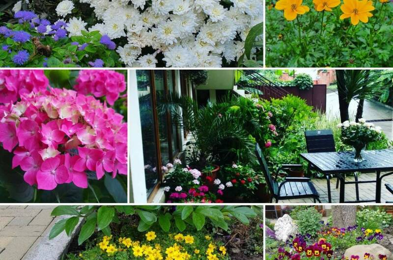 Изображение Изображение гостиницы &quot;Гостевой дом «У Евы»&quot; #9 #7