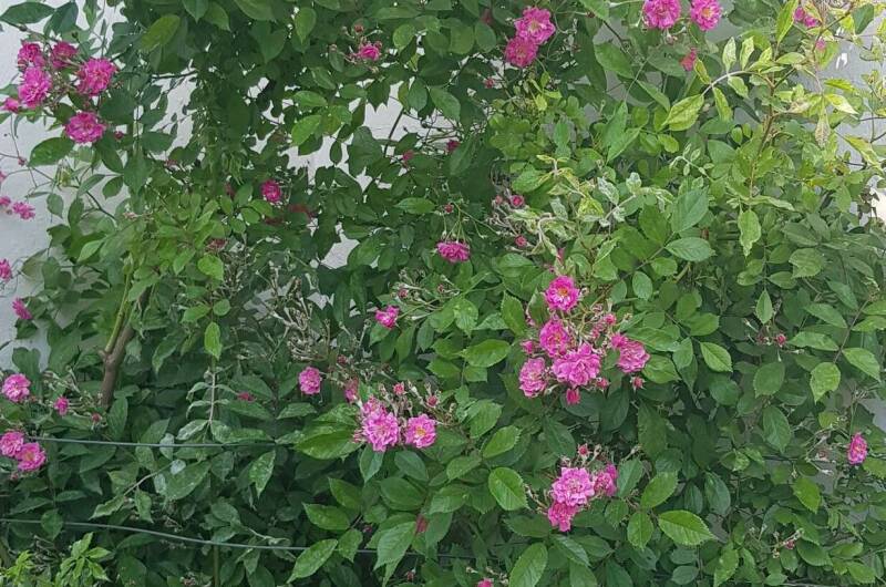 Изображение Изображение гостиницы &quot;Гостевой дом «Бумеранг»&quot; #10 #8