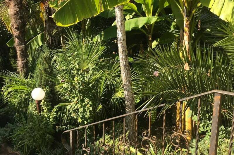 Изображение Изображение гостиницы &quot;Гостевой дом «Зеленый дворик»&quot; #3 #1