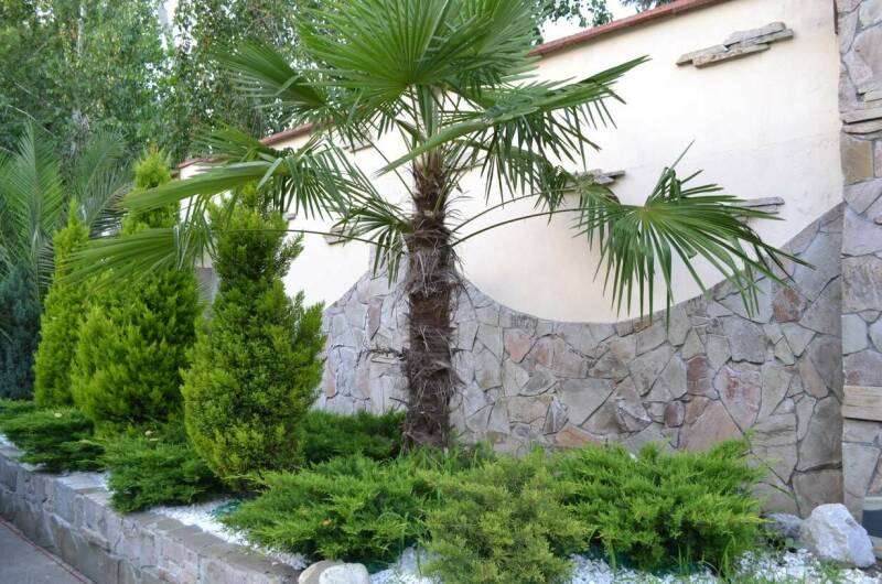 Изображение Изображение гостиницы &quot;Гостевой дом «Зеленый дворик»&quot; #7 #5