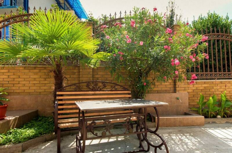 Изображение Изображение гостиницы &quot;Гостевой дом «Асхо»&quot; #7 #5