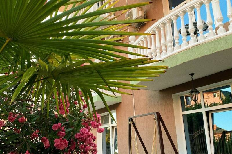 Изображение Изображение гостиницы &quot;Гостевой дом «Асхо»&quot; #10 #8