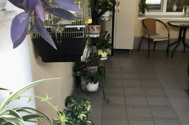 Изображение Изображение гостиницы &quot;Гостевой дом «Лавр»&quot; #6 #4