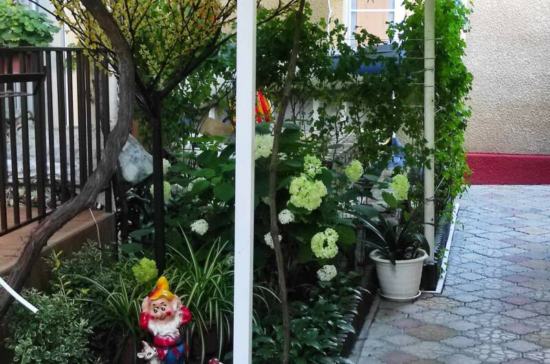 Изображение Изображение гостиницы &quot;Гостевой дом «Адениум»&quot; #9 #7