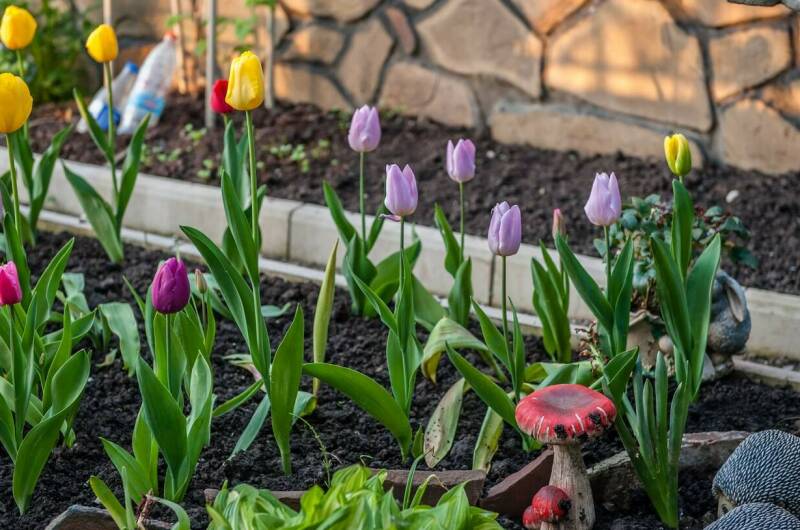 Изображение Изображение гостиницы &quot;Гостевой дом «Атон»&quot; #9 #7