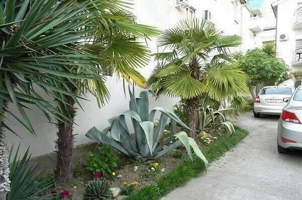 Изображение Изображение гостиницы &quot;Гостевой дом «Надежда»&quot; #8 #6