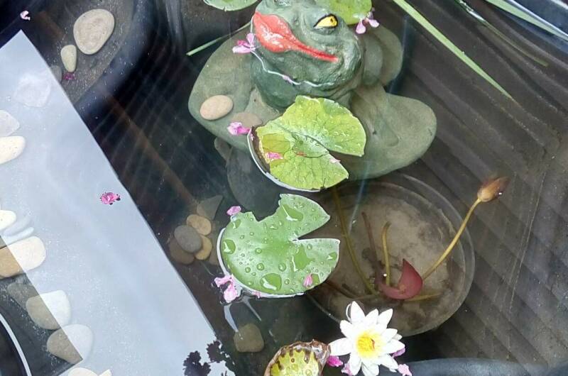 Изображение Изображение гостиницы &quot;Гостевые комнаты «Фламинго»&quot; #4 #2