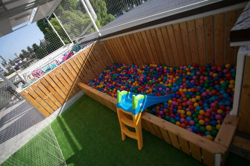 Изображение Изображение гостиницы &quot;Гостевой дом «Мандарин»&quot; #8 #6