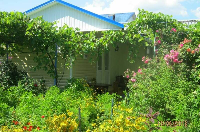 Изображение Изображение гостиницы &quot;Гостиница «Семейная»&quot; #10 #8