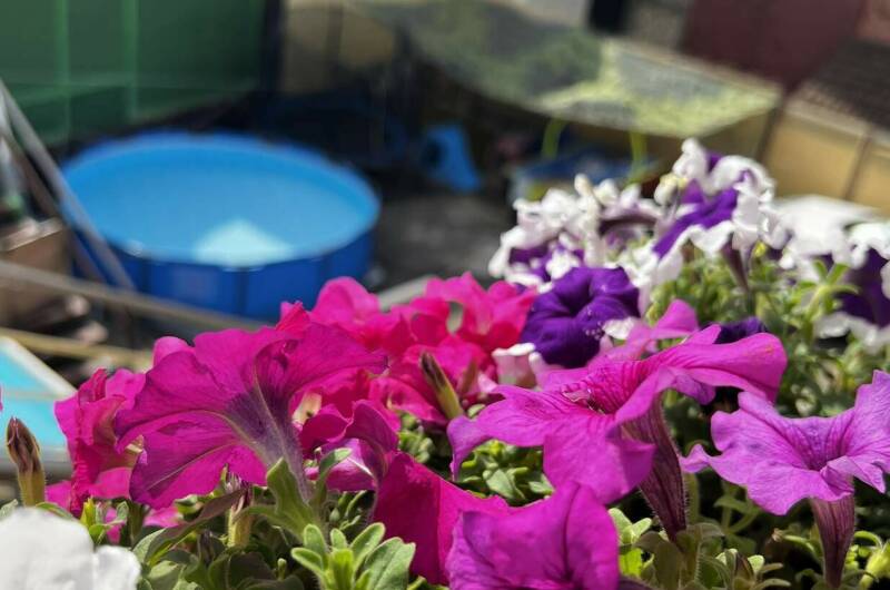 Изображение Изображение гостиницы &quot;Гостевые комнаты «Антонида»&quot; #4 #2