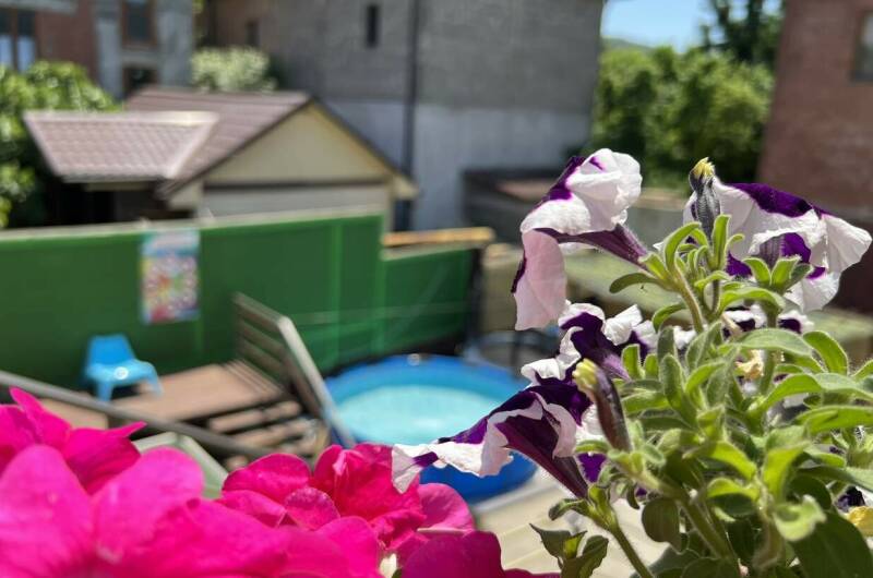 Изображение Изображение гостиницы &quot;Гостевые комнаты «Антонида»&quot; #11 #9