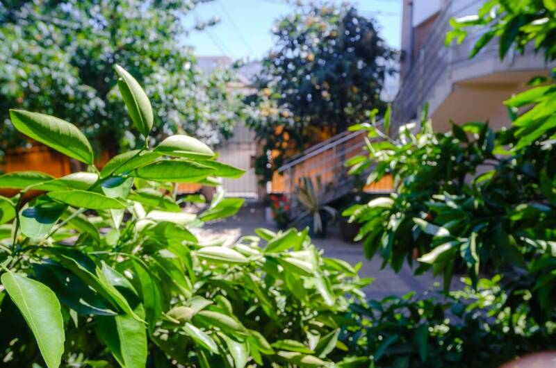 Изображение Изображение гостиницы &quot;Частный дом «Аракс»&quot; #10 #8