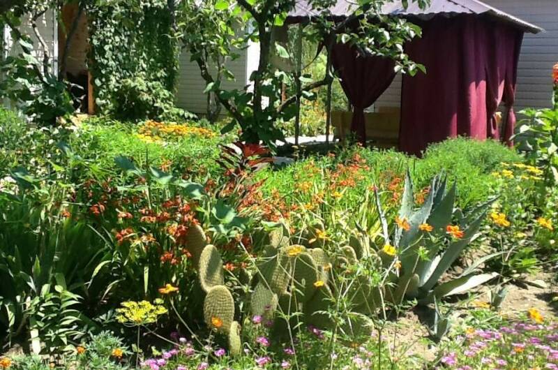 Изображение Изображение гостиницы &quot;Гостевые домики «Лидия»&quot; #3 #1