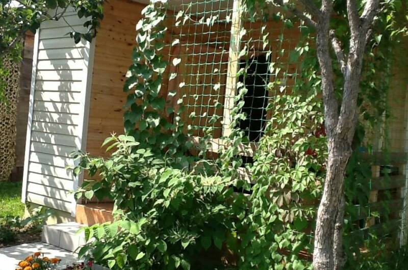 Изображение Изображение гостиницы &quot;Гостевые домики «Лидия»&quot; #6 #4