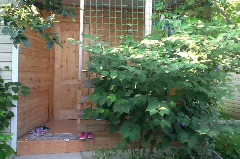 Изображение Изображение гостиницы &quot;Гостевые домики «Лидия»&quot; #7 #5