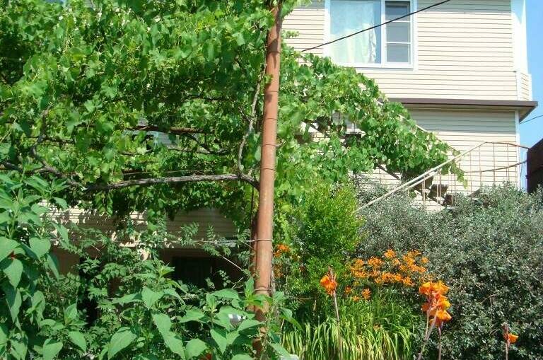 Изображение Изображение гостиницы &quot;Гостевые домики «Лидия»&quot; #9 #7