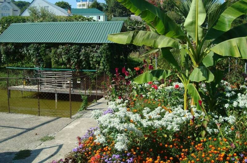 Изображение Изображение гостиницы &quot;Гостевые домики «Лидия»&quot; #11 #9