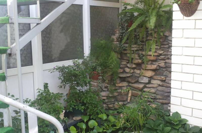 Изображение Изображение гостиницы &quot;Уютный дворик на Толстого&quot; #6 #4