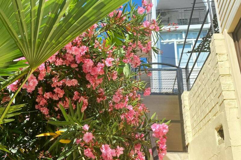 Изображение Изображение гостиницы &quot;Гостевой дом «Эльмар»&quot; #8 #6