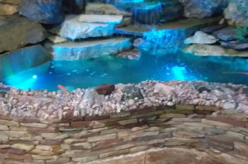 Изображение Изображение гостиницы &quot;Гостевой дом «Уют»&quot; #7 #5