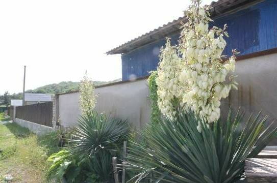 Изображение Изображение гостиницы &quot;Гостевой дом «Соня»&quot; #5 #3