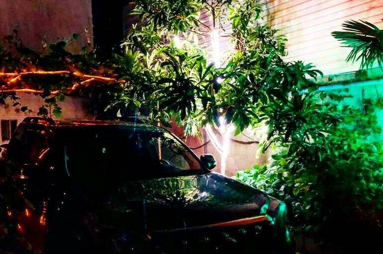 Изображение Изображение гостиницы &quot;Гостевой дом «Вероника»&quot; #4 #2