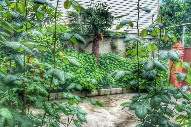 Изображение Изображение гостиницы &quot;Гостевой дом «Вероника»&quot; #6 #4