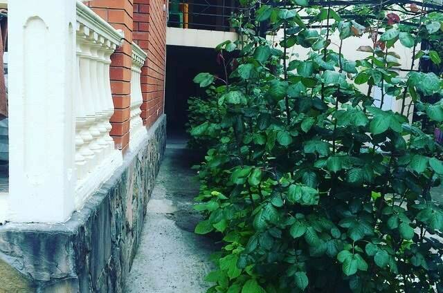 Изображение Изображение гостиницы &quot;Гостевой дом «Вероника»&quot; #7 #5