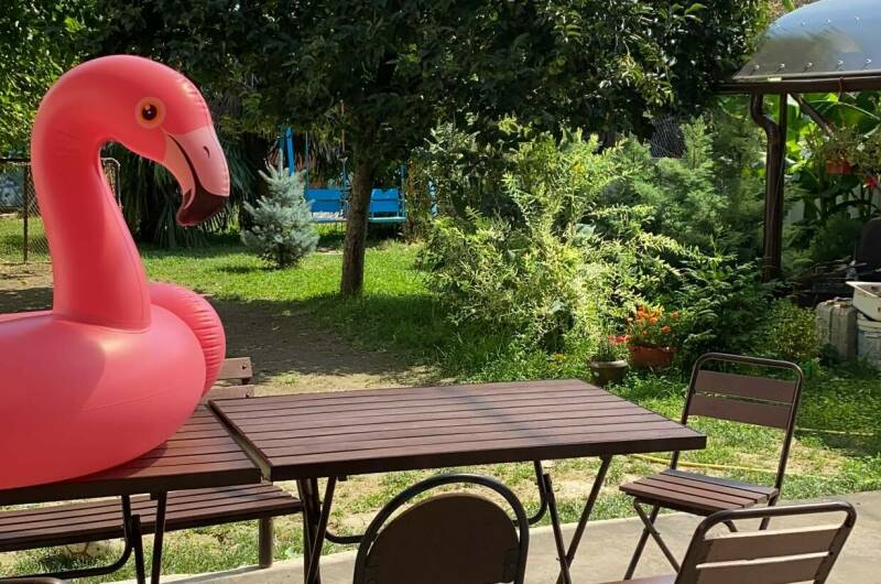 Изображение Изображение гостиницы &quot;Гостевой дом «Ариадна»&quot; #9 #7