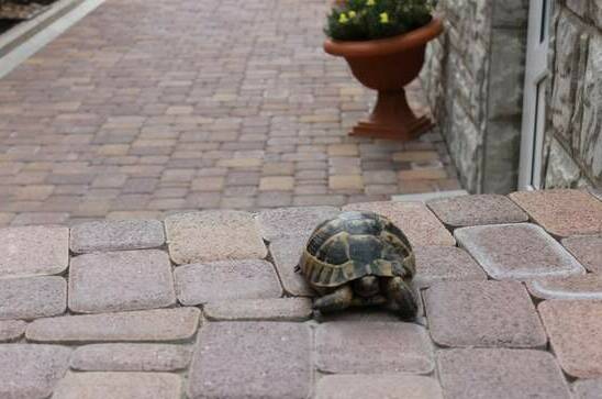 Изображение Изображение гостиницы &quot;Гостевой дом «Не горюй»&quot; #9 #7