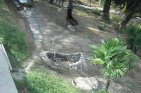 Изображение Изображение гостиницы &quot;Гостевой дом «Милар»&quot; #8 #6