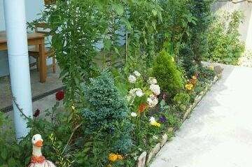 Изображение Изображение гостиницы &quot;Гостевой дом «У Андрея»&quot; #7 #5