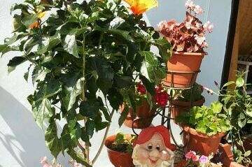 Изображение Изображение гостиницы &quot;Гостевой дом «У Андрея»&quot; #9 #7