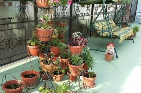 Изображение Изображение гостиницы &quot;Гостевой дом «У Андрея»&quot; #10 #8