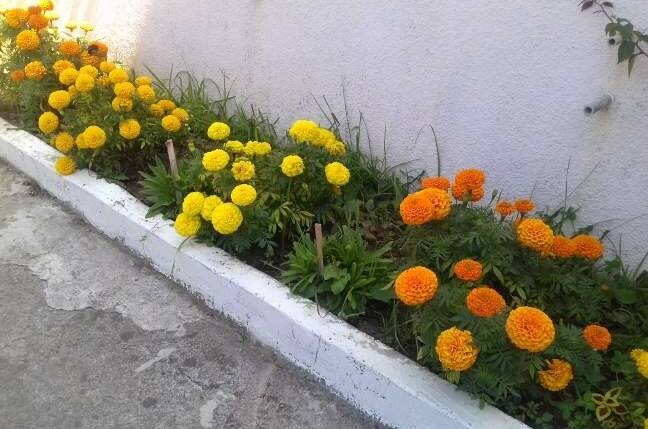 Изображение Изображение гостиницы &quot;Гостевой дом «Зеленая горка»&quot; #5 #3