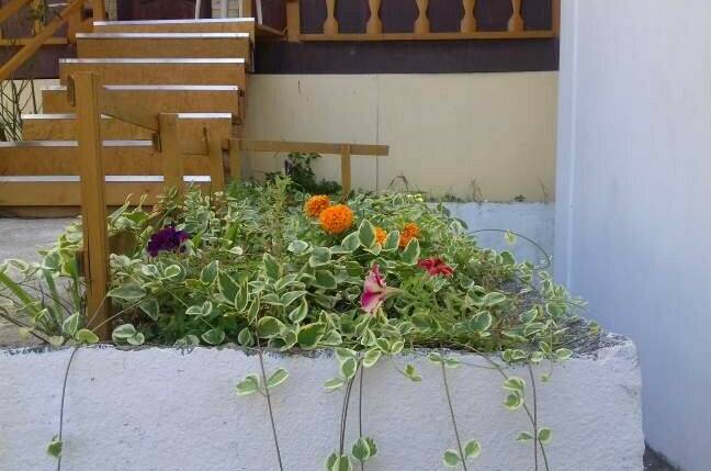 Изображение Изображение гостиницы &quot;Гостевой дом «Зеленая горка»&quot; #6 #4