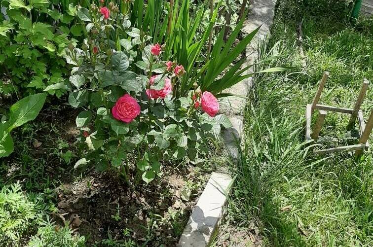 Изображение Изображение гостиницы &quot;Гостевой дом «Зеленая горка»&quot; #9 #7