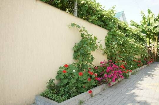 Изображение Изображение гостиницы &quot;Отель «Малахит»&quot; #7 #5