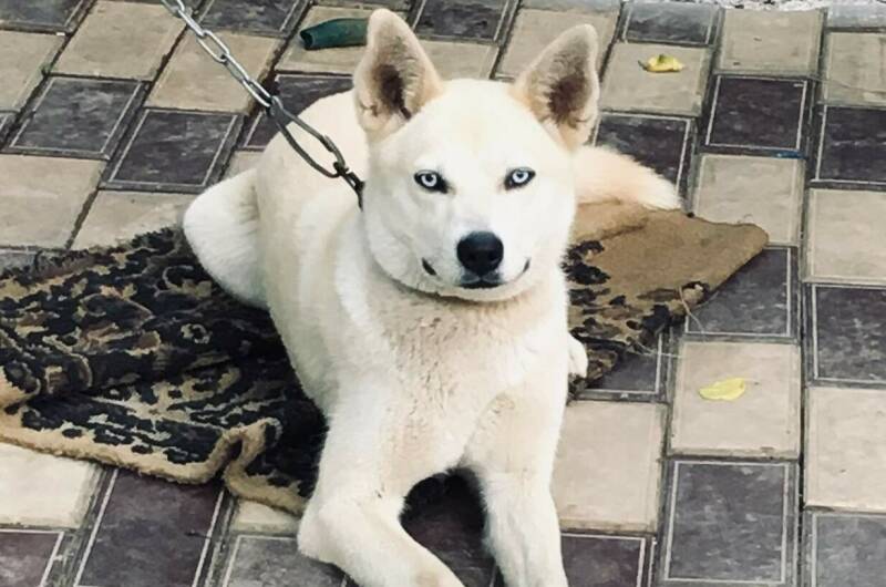 Изображение Изображение гостиницы &quot;Гостевой дом «Очаг»&quot; #4 #2