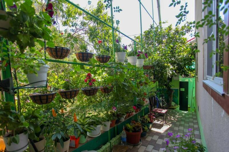 Изображение Изображение гостиницы &quot;Гостевой дом «Очаг»&quot; #5 #3