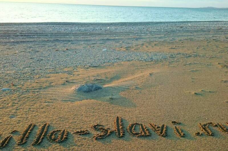 Изображение Изображение гостиницы &quot;Мини-гостиница «Вилла Славы»&quot; #4 #2