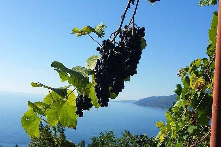 Изображение Изображение гостиницы &quot;Гостевой дом «0 метров до моря»&quot; #8 #6