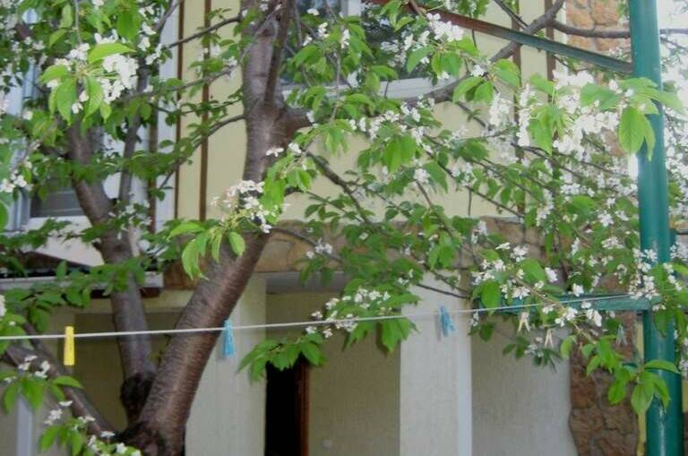 Изображение Изображение гостиницы &quot;Гостевой дом «Жанна»&quot; #4 #2